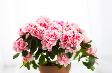 Similar image 12618562