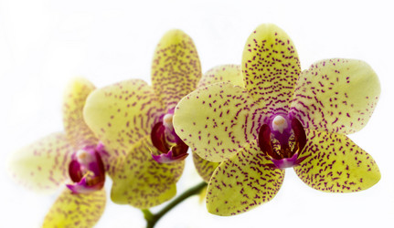 Similar image 12618586