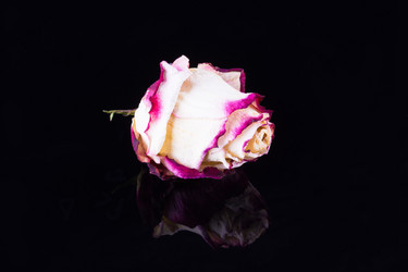 Similar image 12618611