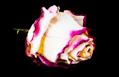 Similar image 12618618