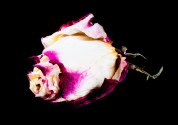 Similar image 12618626