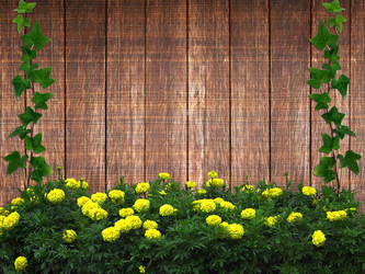 Similar image 12594943