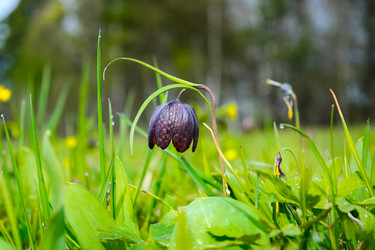 Similar image 12596716