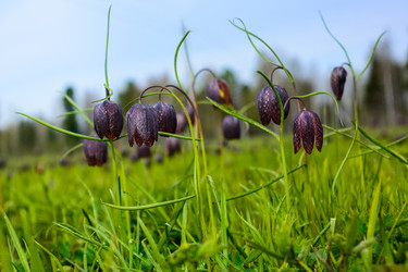 Similar image 12596717