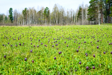 Similar image 12596718