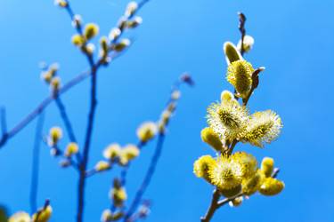 Similar image 12596719