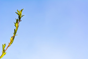 Similar image 12596722