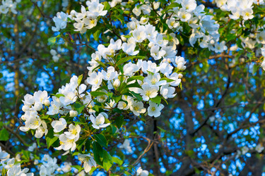 Similar image 12596724