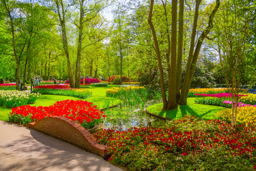 Similar image 12596697