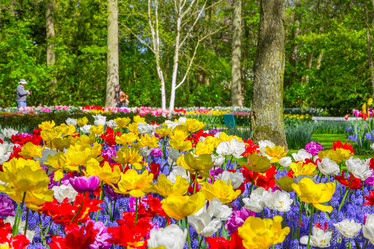 Similar image 12596698