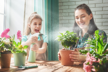 Similar image 12595538