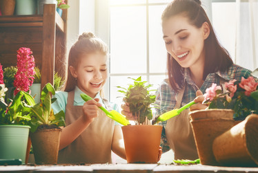 Similar image 12595541