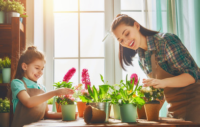 Similar image 12595545