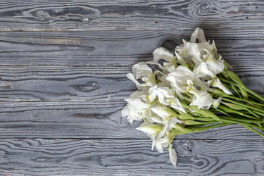 Similar image 12688030