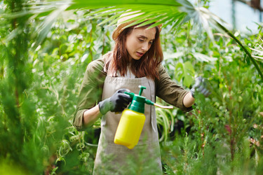 Similar image 12689536