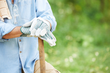 Similar image 12689388