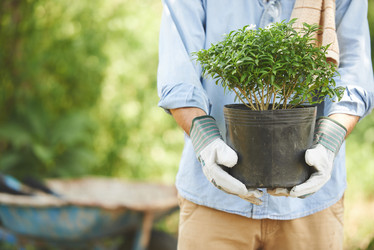 Similar image 12689394