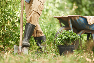 Similar image 12689408