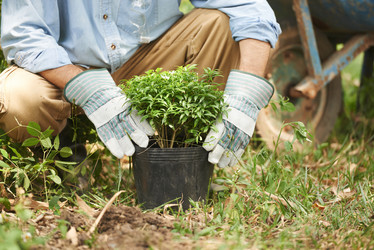 Similar image 12689276