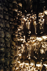 Similar image 12687261