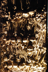 Similar image 12687262