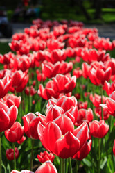 Similar image 12978522