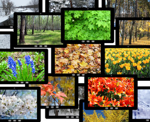 Similar image 12987379