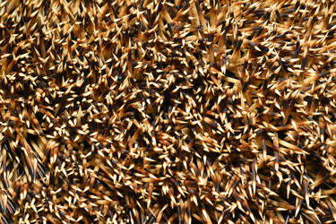 Similar image 12689943