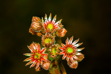 Similar image 12695422