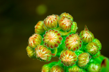 Similar image 12695424