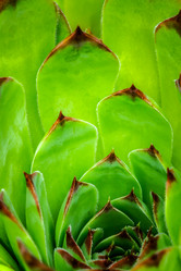 Similar image 12695426