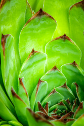 Similar image 12695456