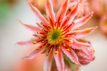 Similar image 12695460