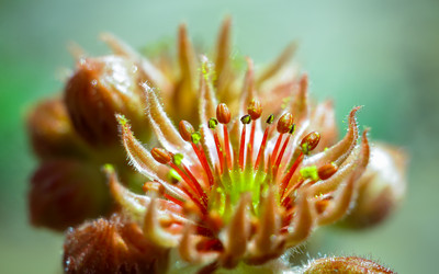 Similar image 12695476