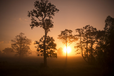 Similar image 12999762