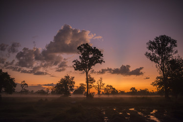 Similar image 12999763