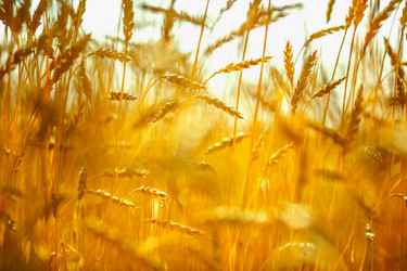 Similar image 12695414