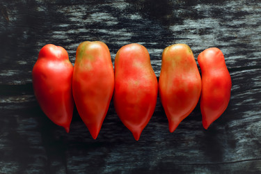 Similar image 12695093