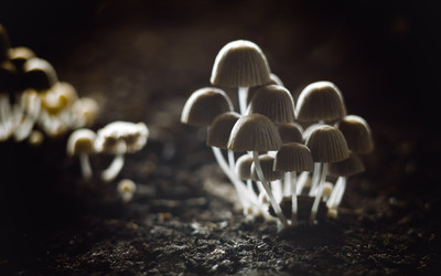 Similar image 12695183