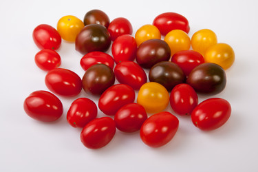 Similar image 12979926