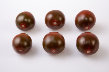 Similar image 12982352