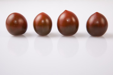 Similar image 12982882