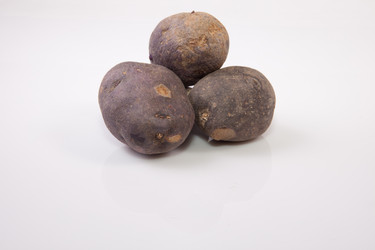 Similar image 12993042