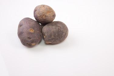 Similar image 12997214