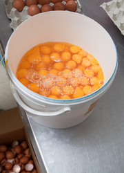 Similar image 12979927