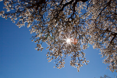 Similar image 12982295