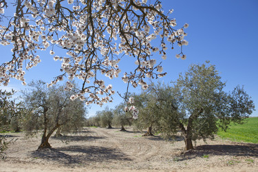 Similar image 12982883