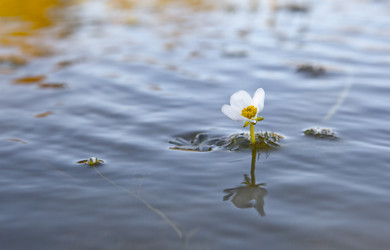 Similar image 12982884