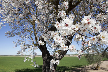 Similar image 12982903