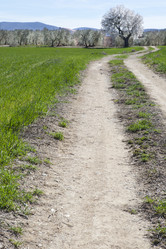 Similar image 12982942